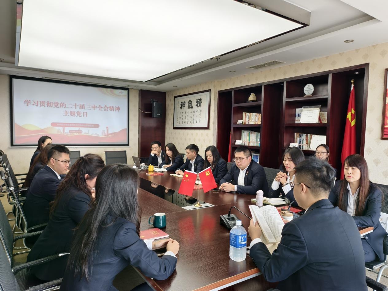 四川祥瑞泰税务师事务所党支部开展 “学习贯彻党的二十届三中全会精神”主题党日活动