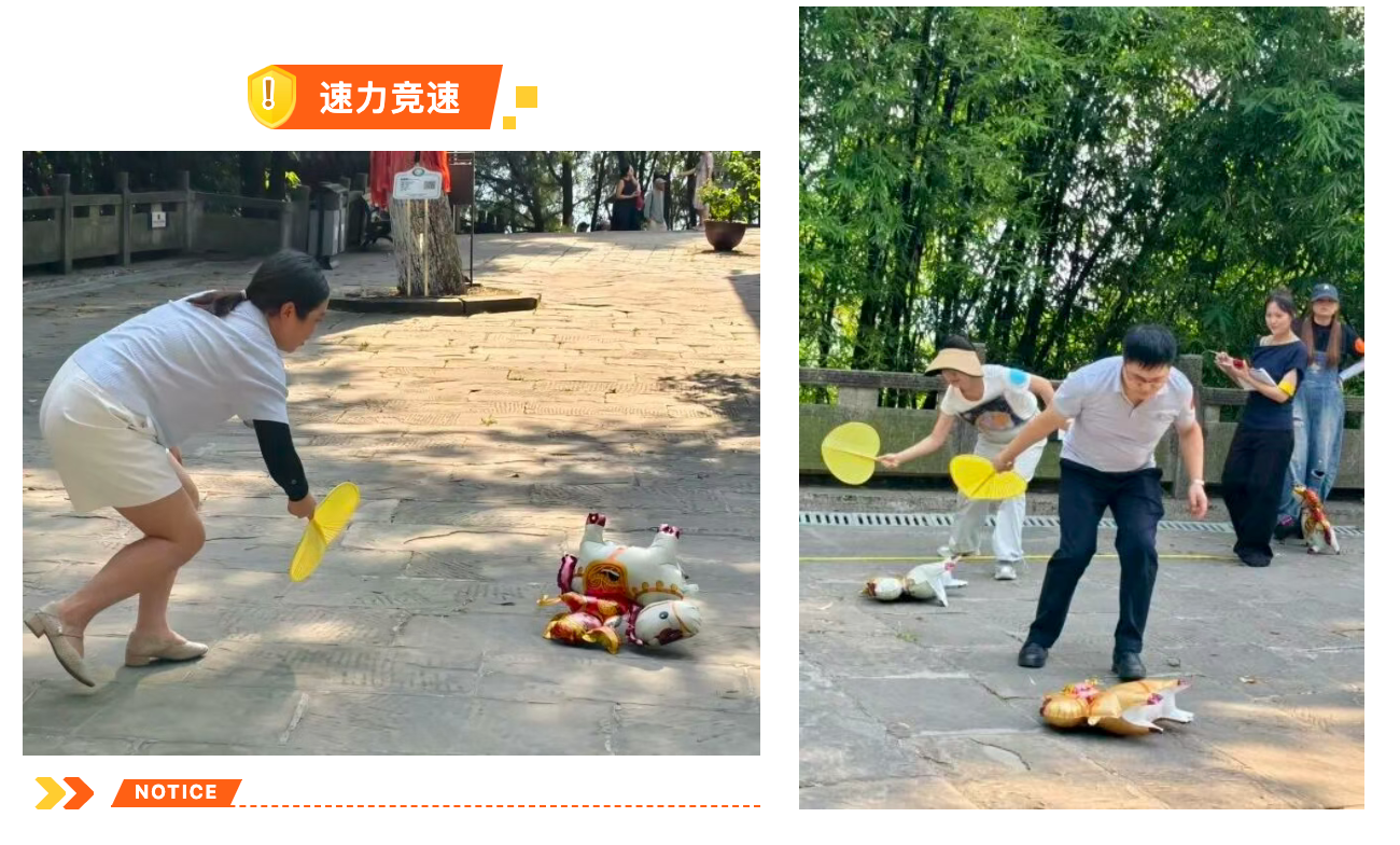 新闻动态 | 祥瑞泰税务2026年浓情访乡游活动圆满举行